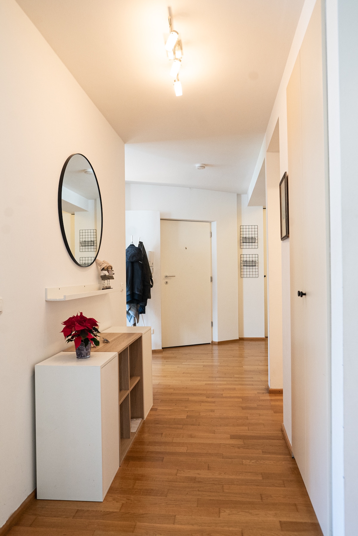 beautiful apartment in the Old Town