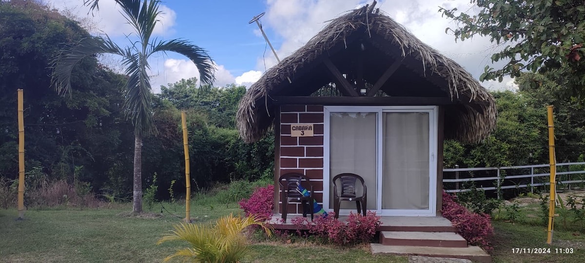 A charming cabin is shown, featuring a thatched roof and a welcoming entrance. Two chairs are positioned on the small porch, which overlooks a landscaped green area with various plants. The surroundings are peaceful, enhancing the overall tranquility of the setting.