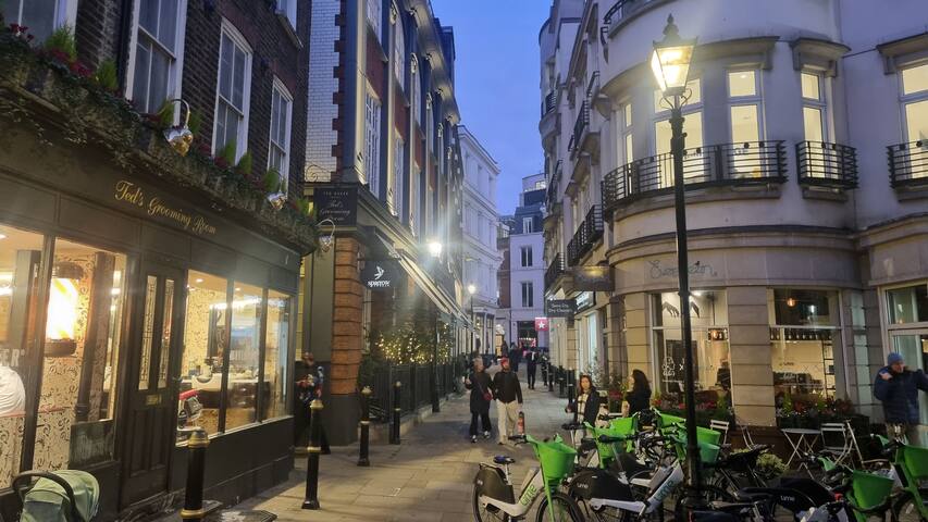 Stylish Townhouse in Mayfair gallery image 5