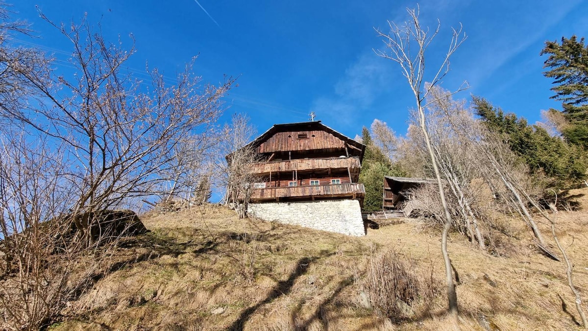 The exterior of a rustic wooden house is positioned on a hillside, surrounded by bare trees and grass. The structure features multiple balconies and is built with a combination of timber and stone, showcasing a traditional alpine design against a clear blue sky.