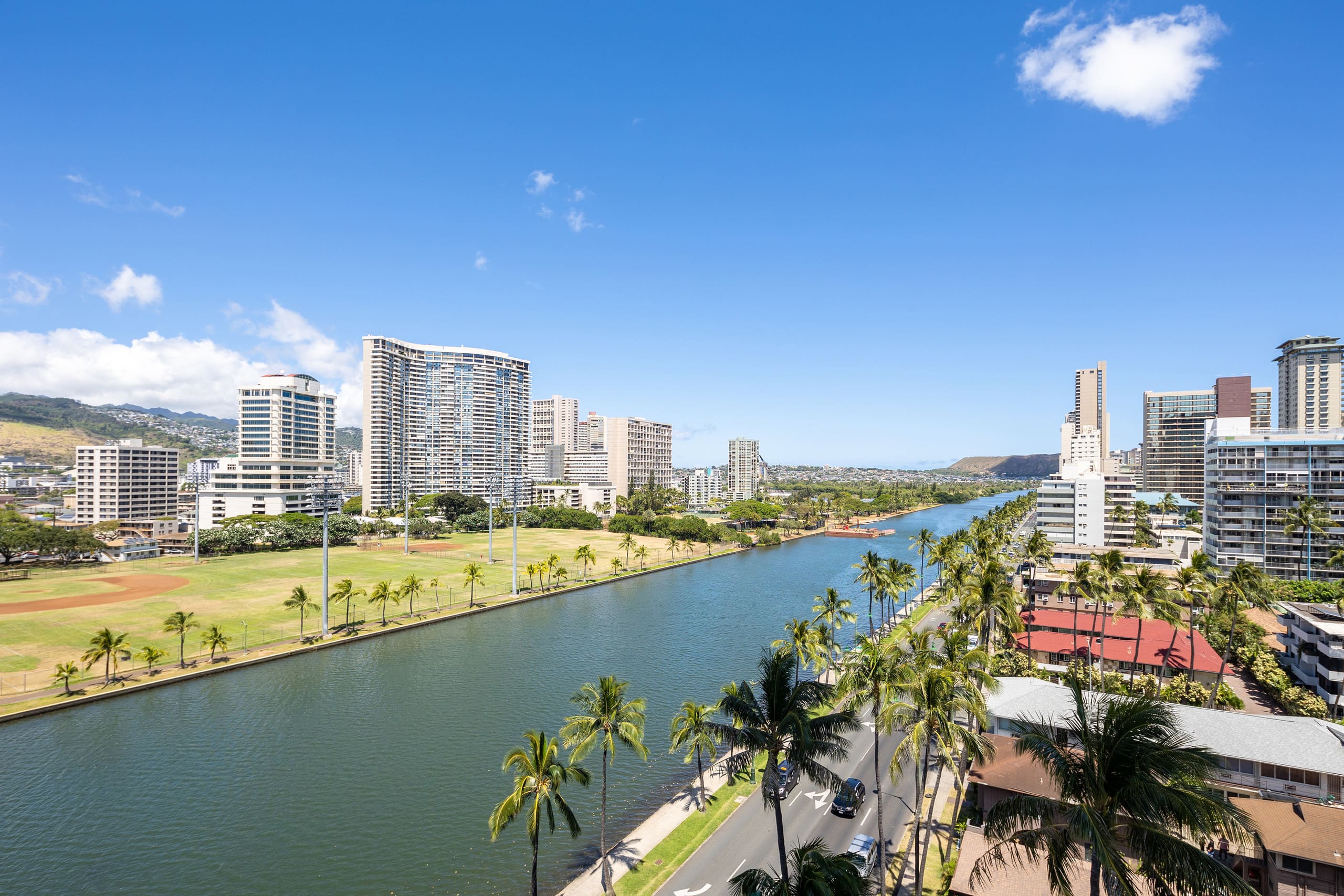 :1211 Hawaiian Palms: - Image 10