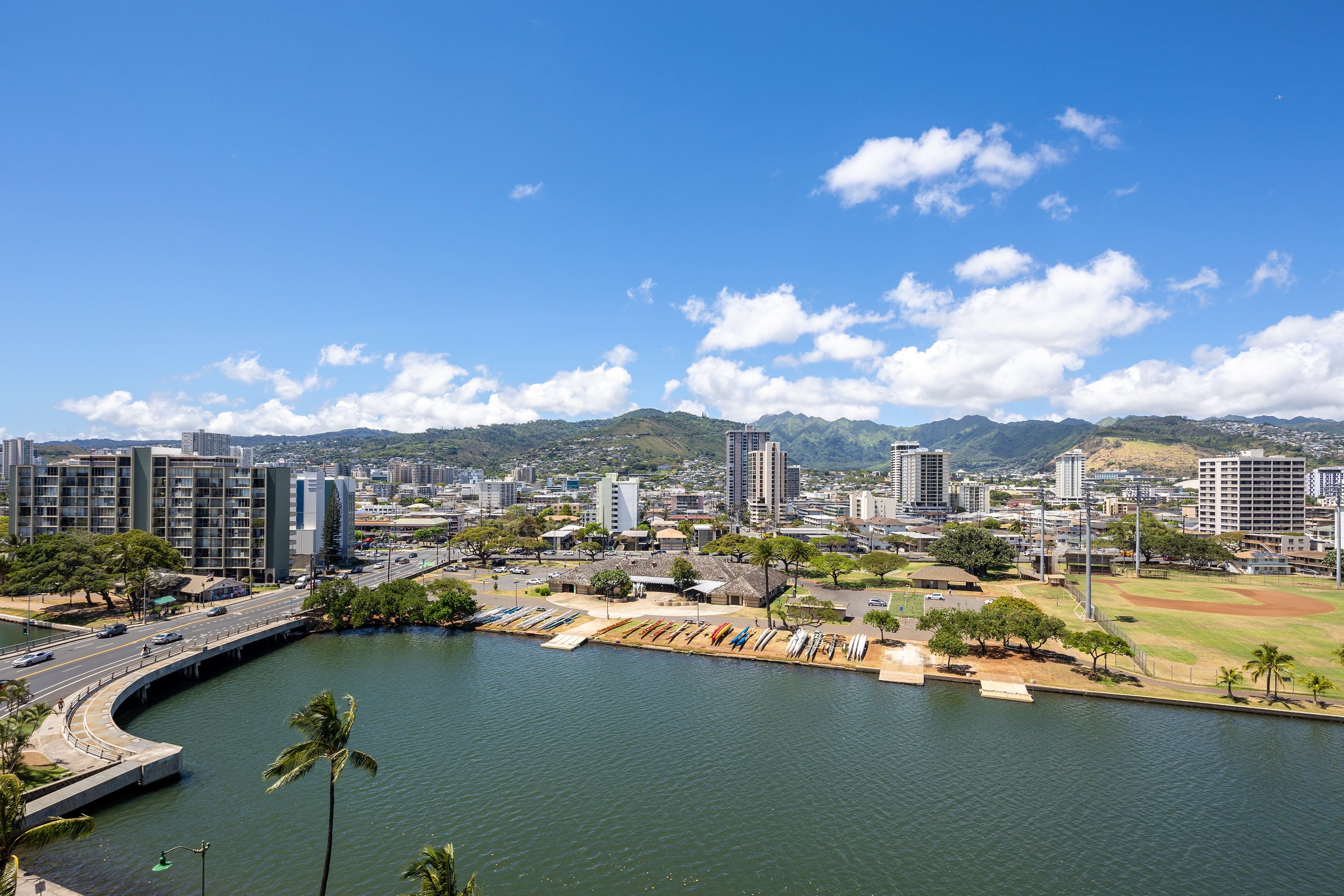 :1211 Hawaiian Palms: - Image 9