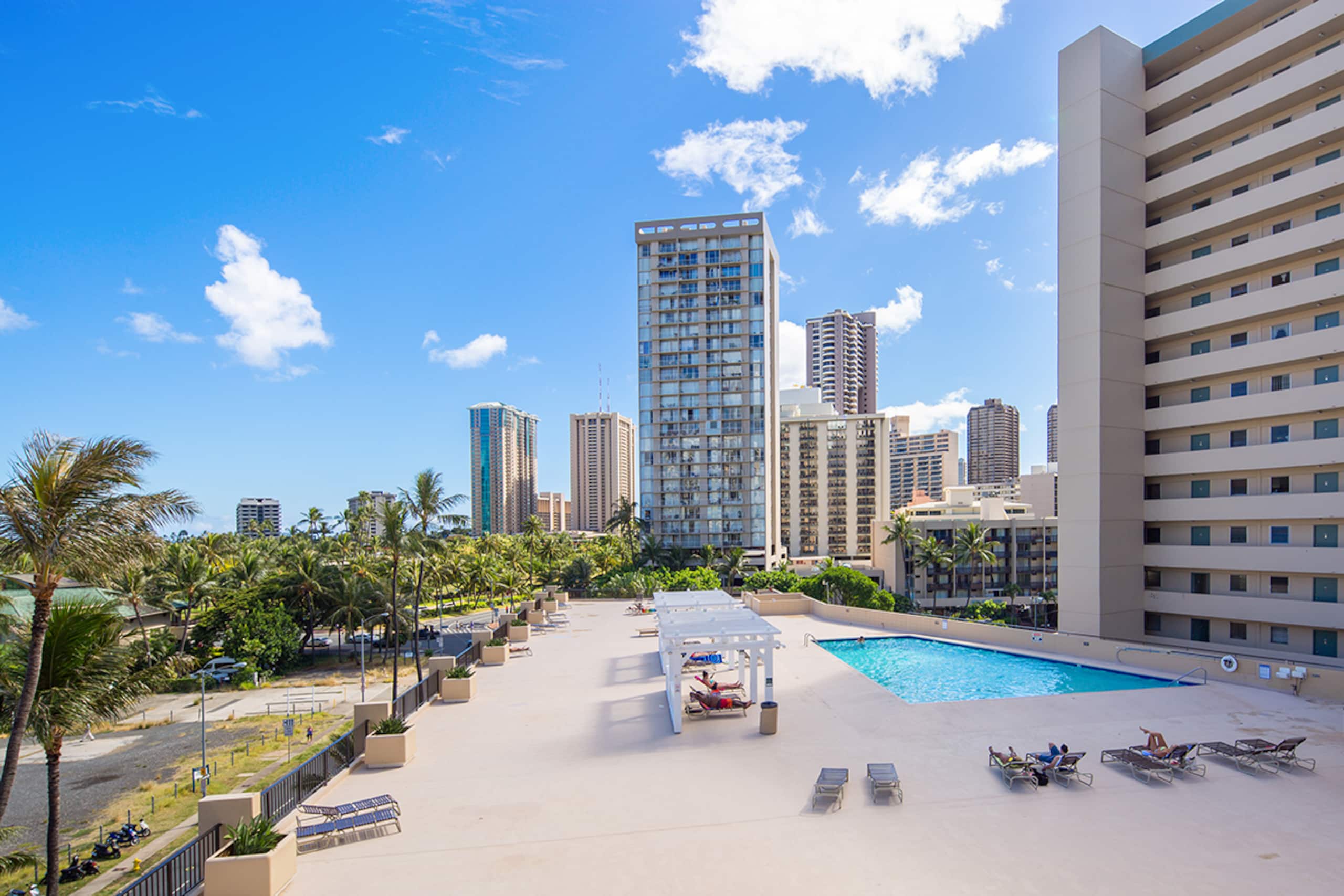 :1211 Hawaiian Palms: - Image 3