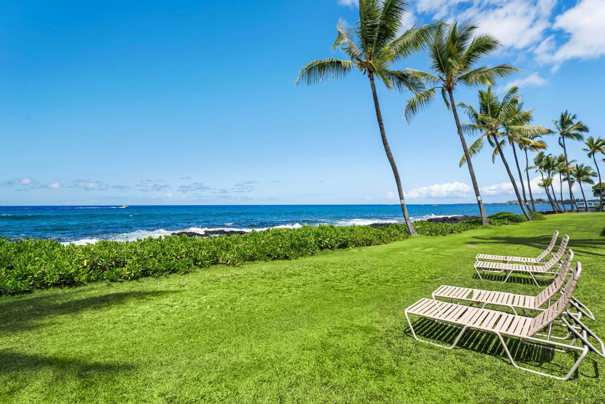 Condo in Kailua-Kona · ★5.0 · 1 bedroom · 2 beds · 1 bath - Image 32
