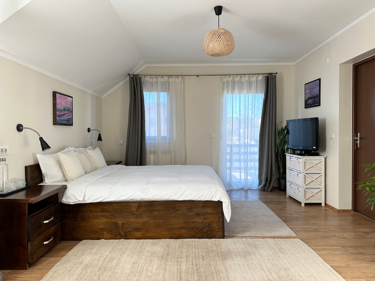 A spacious sleeping area features a large wooden bed with crisp white linens. Natural light floods the room through large windows, adorned with light curtains. A flat-screen TV is positioned on a white dresser, complemented by decorative wall art and a potted plant in the corner.