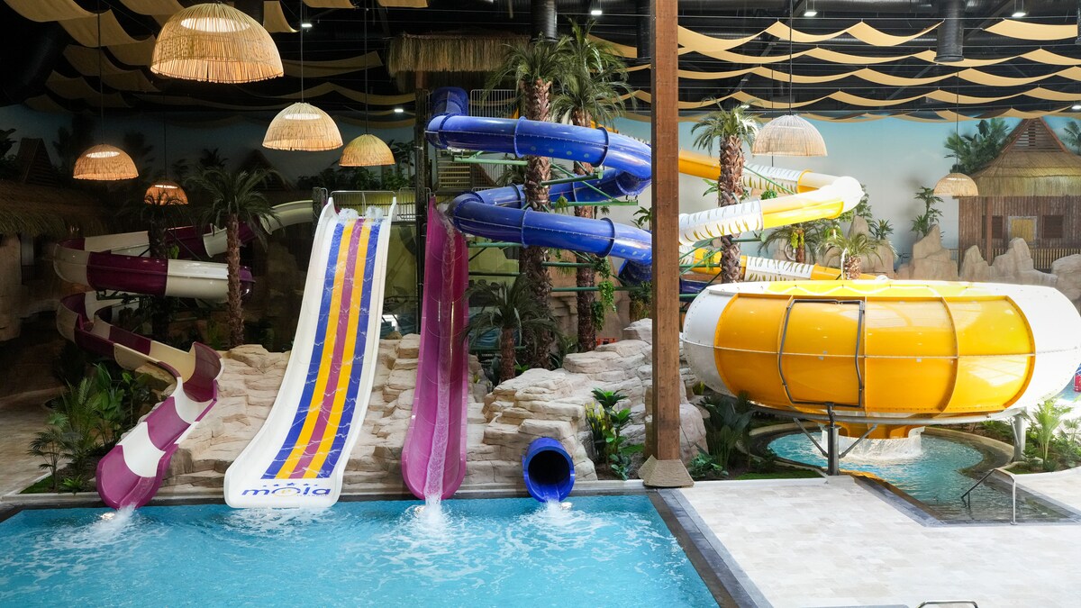 An indoor water park features several water slides in vibrant colors, including purple, yellow, pink, and white. A large pool area, surrounded by tropical plants and rocky decor, is visible at the base of the slides, providing a playful and exciting atmosphere.