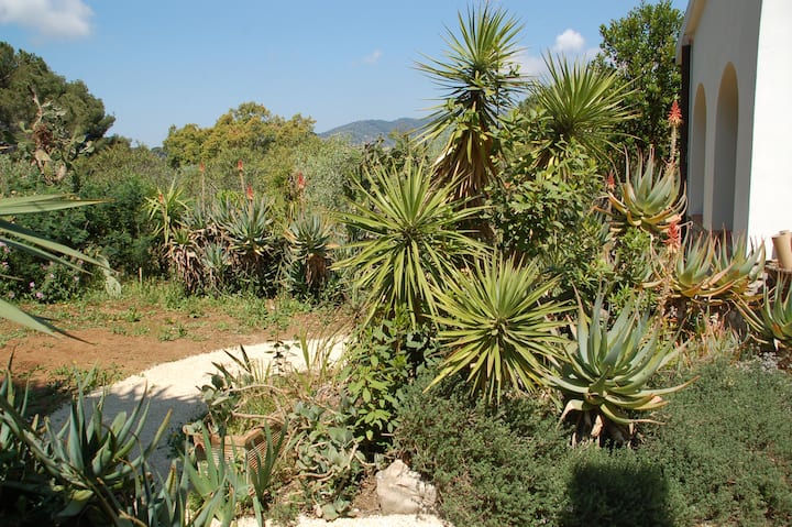 Aloe Haus - Capoliveri