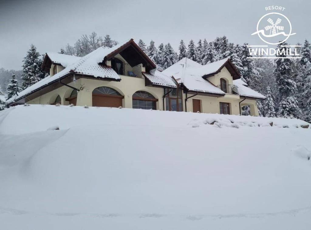 A spacious house is nestled in a snowy landscape, highlighted by a sloped roof and large arched windows. The property features multiple gables, blending harmoniously with the surrounding pine trees covered in snow.