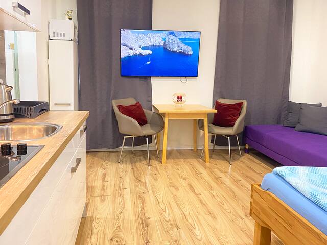 Vienna Senator Flat Paulus gallery image 4