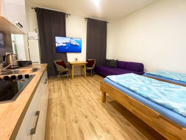 Vienna Senator Flat Paulus gallery image 3