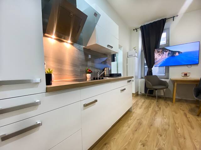 Vienna Senator Flat Paulus gallery image 5