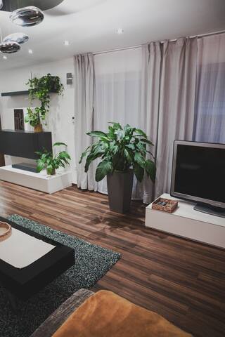 Green Hideaway Vienna gallery image 5