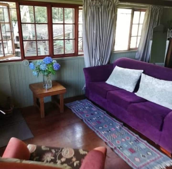 Შესანიშნავი კომფორტული ტახტი ბუხრითა და ტყის ხედებით