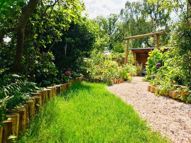 Beautiful house near the beach gallery image 2