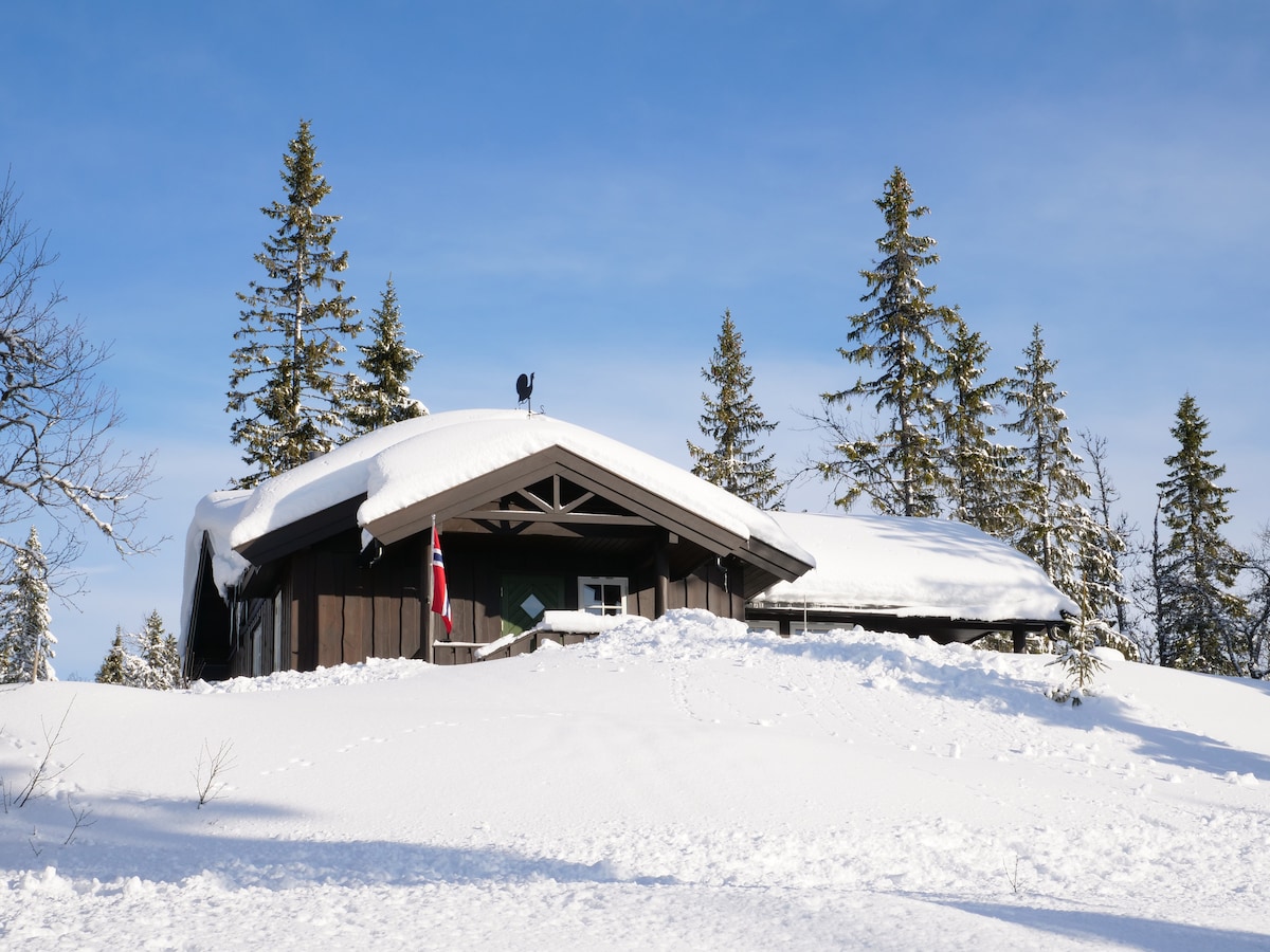 A rustic cabin is surrounded by a blanket of snow, with a distinctive sloped roof that holds a layer of snow. Tall evergreen trees frame the structure, and a flag is displayed prominently. Clear blue skies stretch above the serene winter landscape.