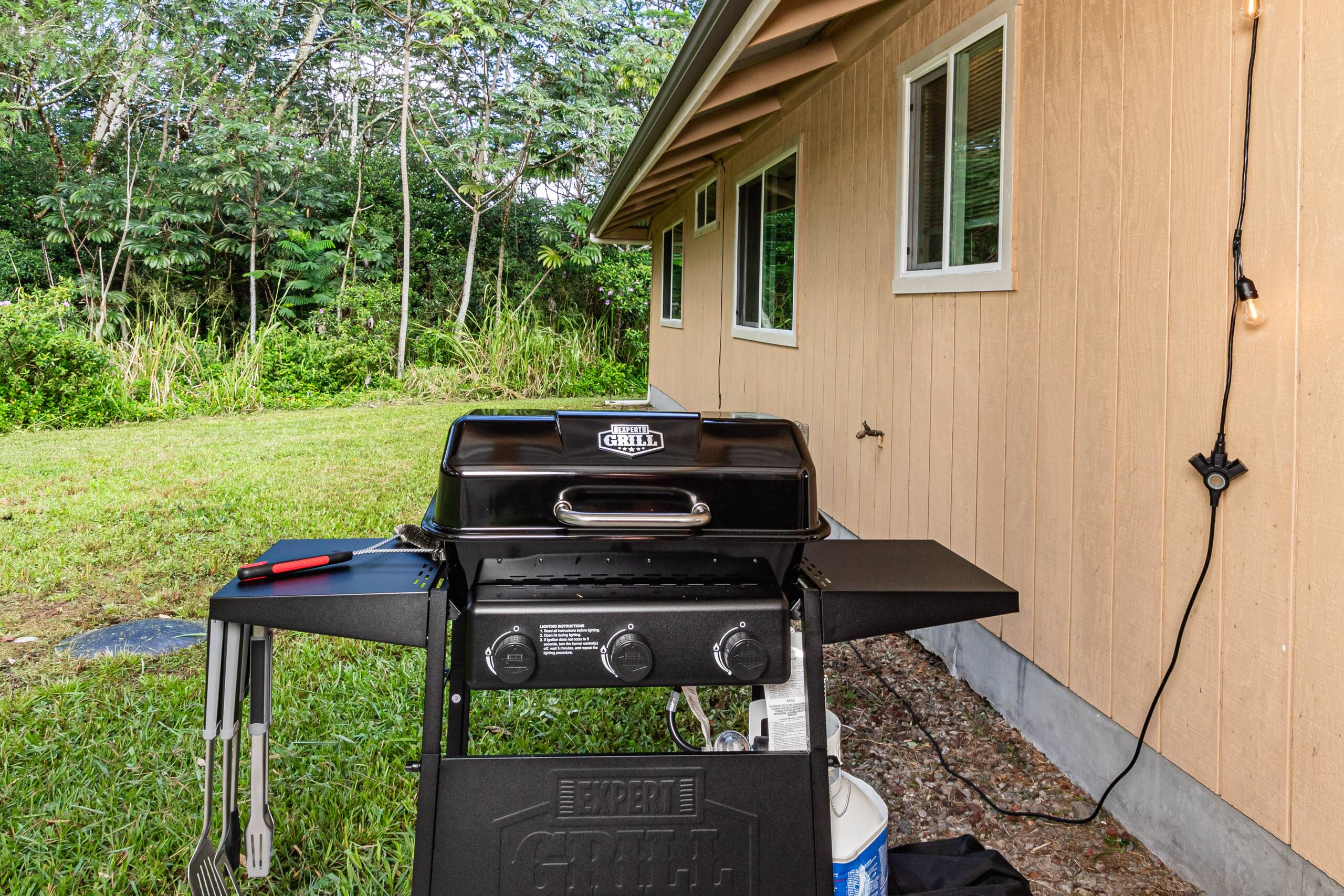 Home in Keaau · ★4.99 · 4 bedrooms · 6 beds · 2 private baths - Image 42