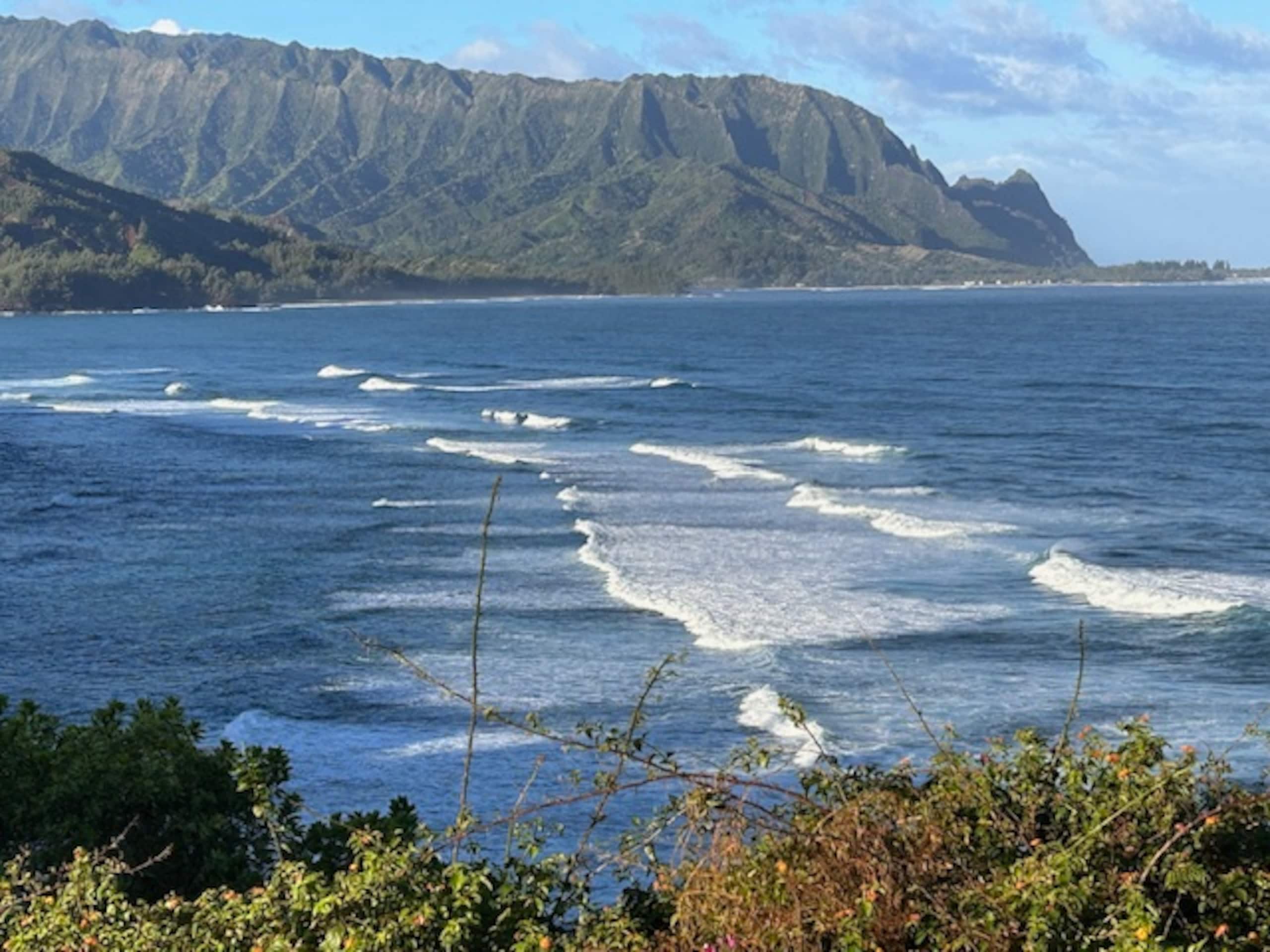 Condo in Princeville · ★5.0 · 2 bedrooms · 4 beds · 2 baths - Image 34