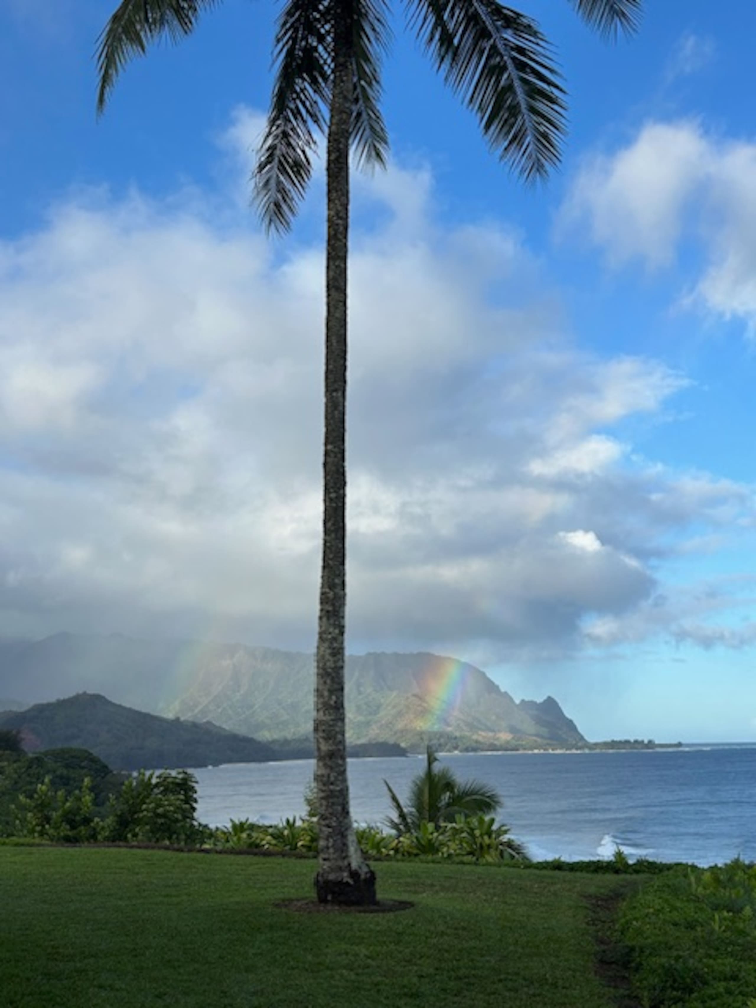 Condo in Princeville · ★5.0 · 2 bedrooms · 4 beds · 2 baths - Image 36