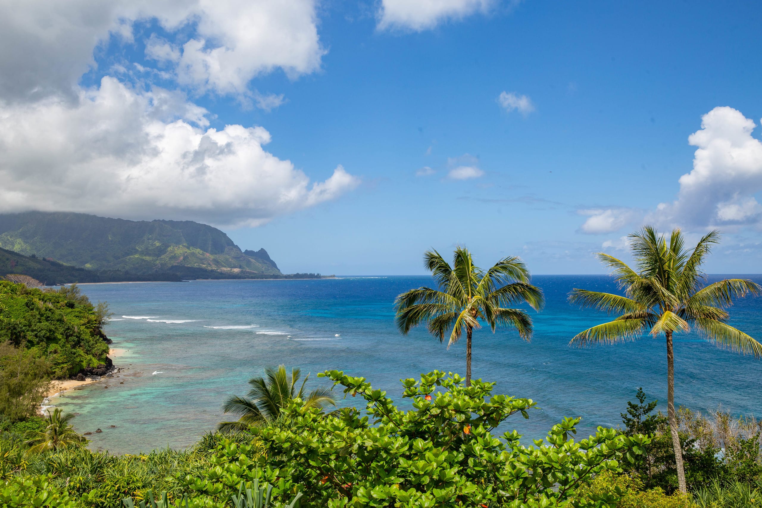 Condo in Princeville · ★5.0 · 2 bedrooms · 4 beds · 2 baths - Image 29