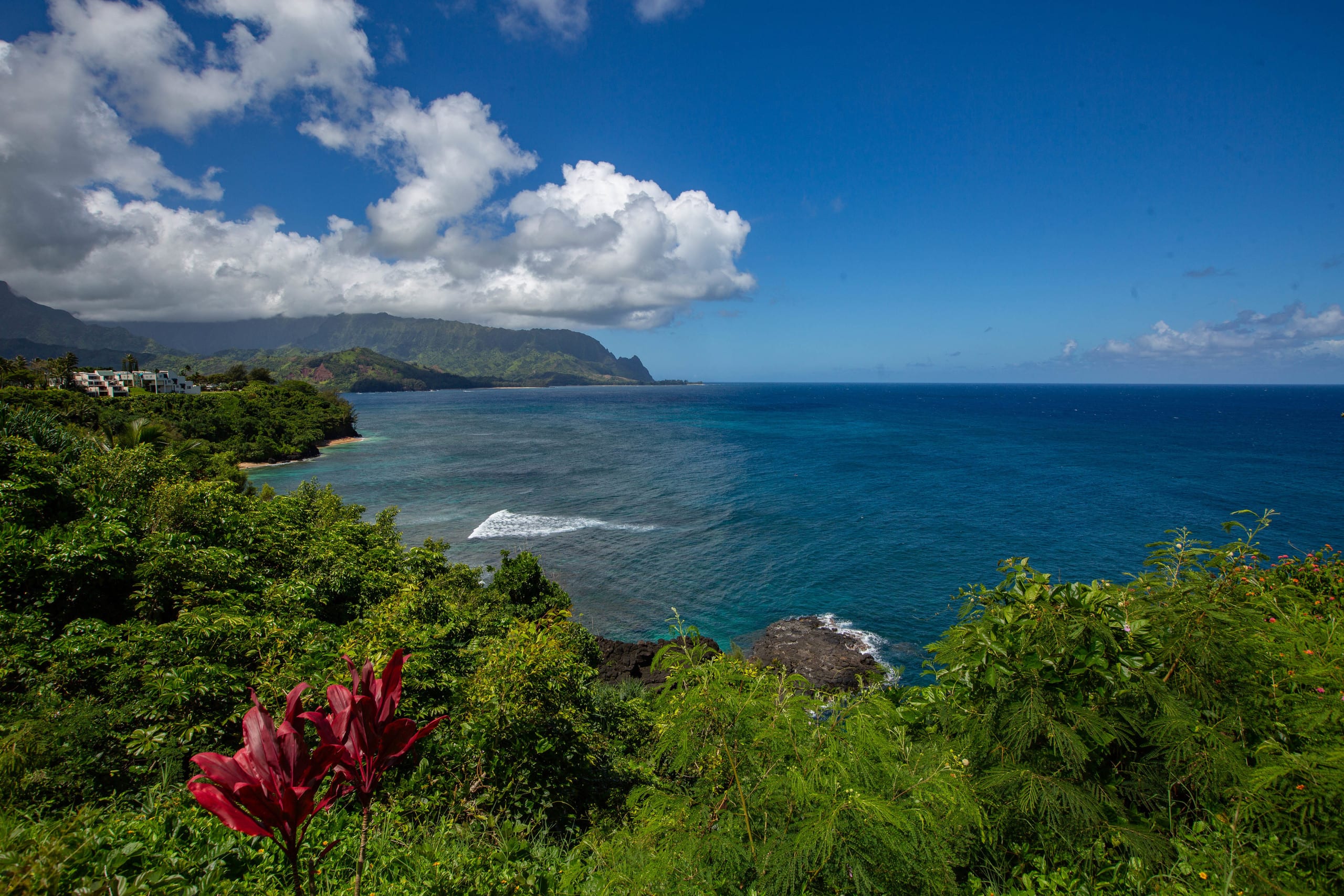 Condo in Princeville · ★5.0 · 2 bedrooms · 4 beds · 2 baths - Image 31