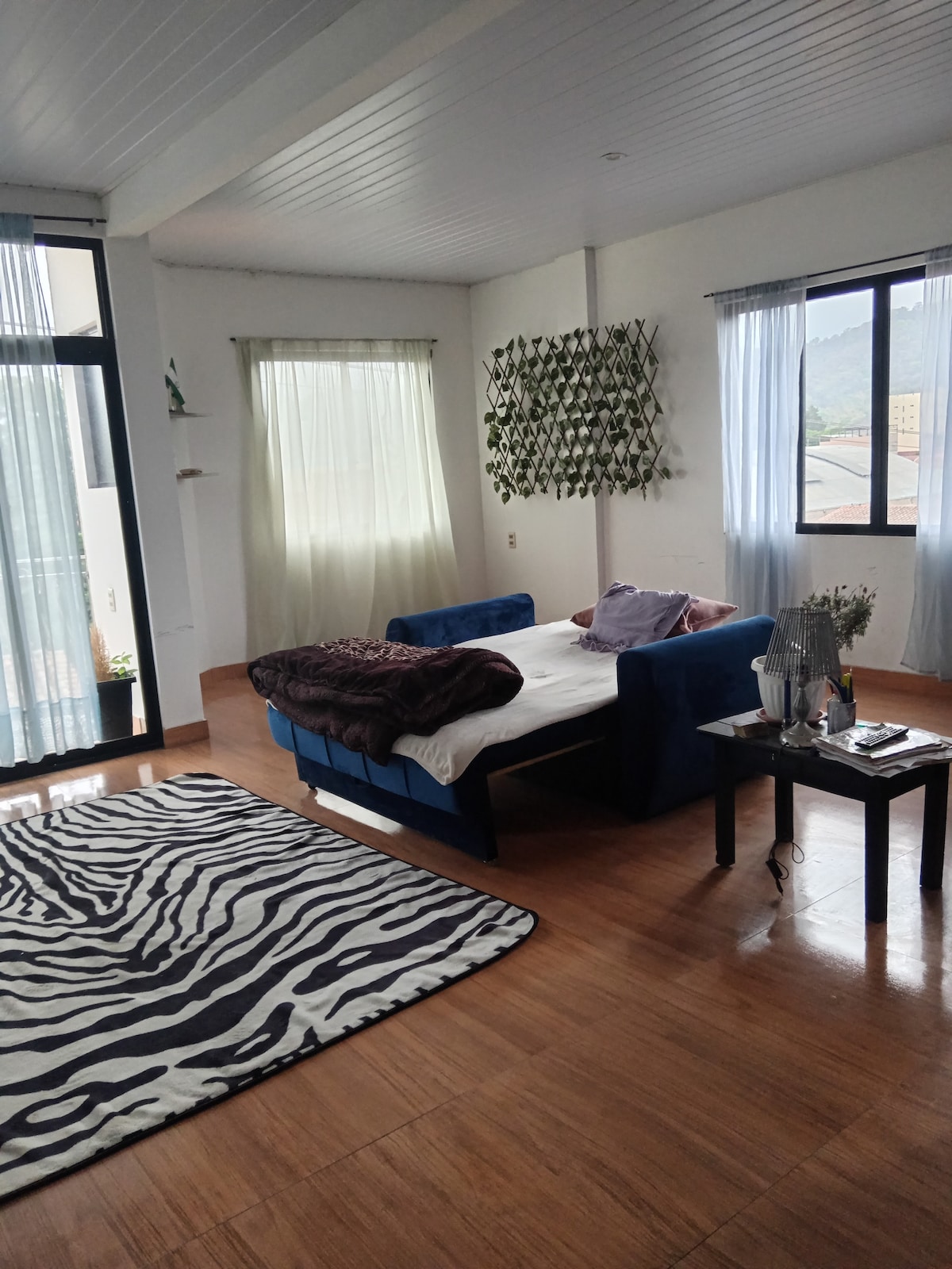 A bright and spacious living area features a blue sofa with soft cushions and a white bedspread. Natural light filters through sheer curtains, illuminating a zebra-patterned rug. A small black table holds a vase with flowers, complementing the relaxing atmosphere.