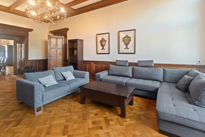 Big Monumental Townhouse Apartment - The Hague