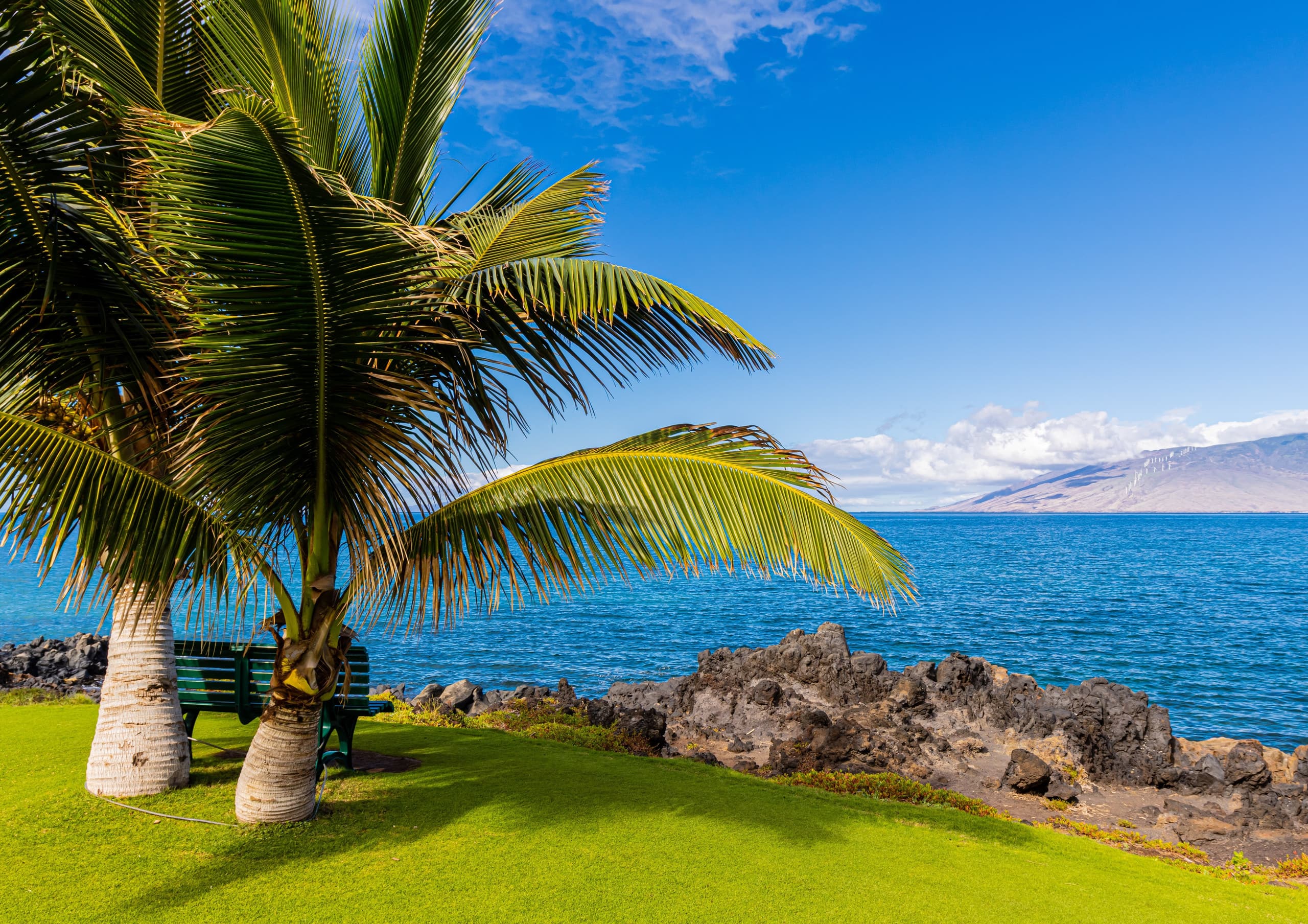 Condo in Kihei · ★4.78 · 2 bedrooms · 3 beds · 2 baths - Image 48