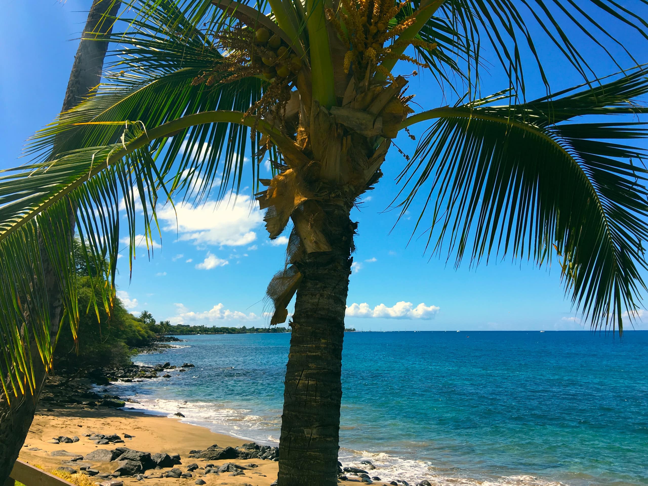 Condo in Kihei · ★4.78 · 2 bedrooms · 3 beds · 2 baths - Image 45