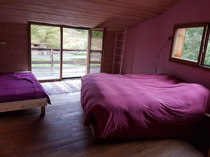 chambre 1 avec un grand lit et un petit lit
une terrasse extérieur