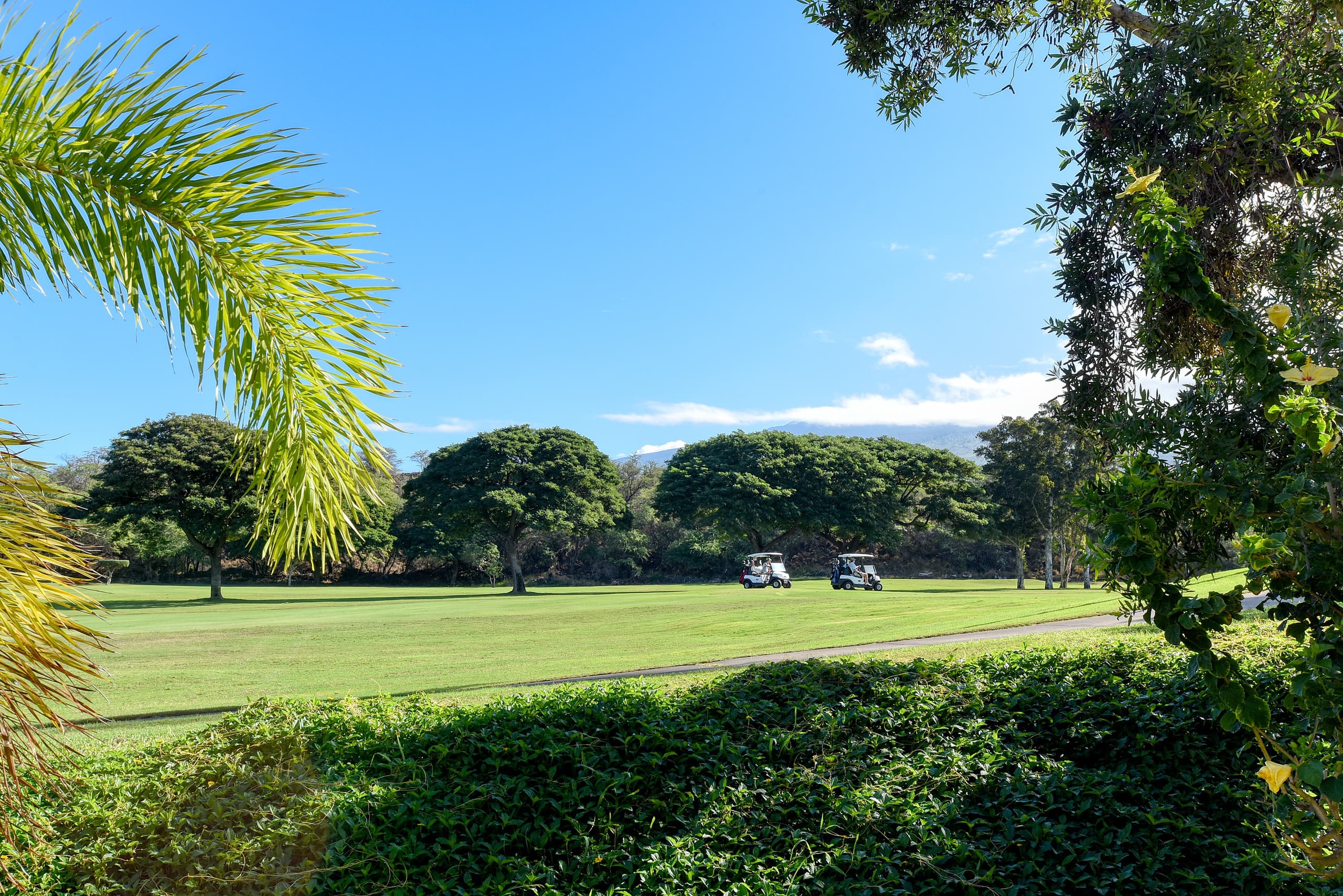 Condo in Wailea · ★4.96 · 1 bedroom · 2 beds · 2 baths - Image 16