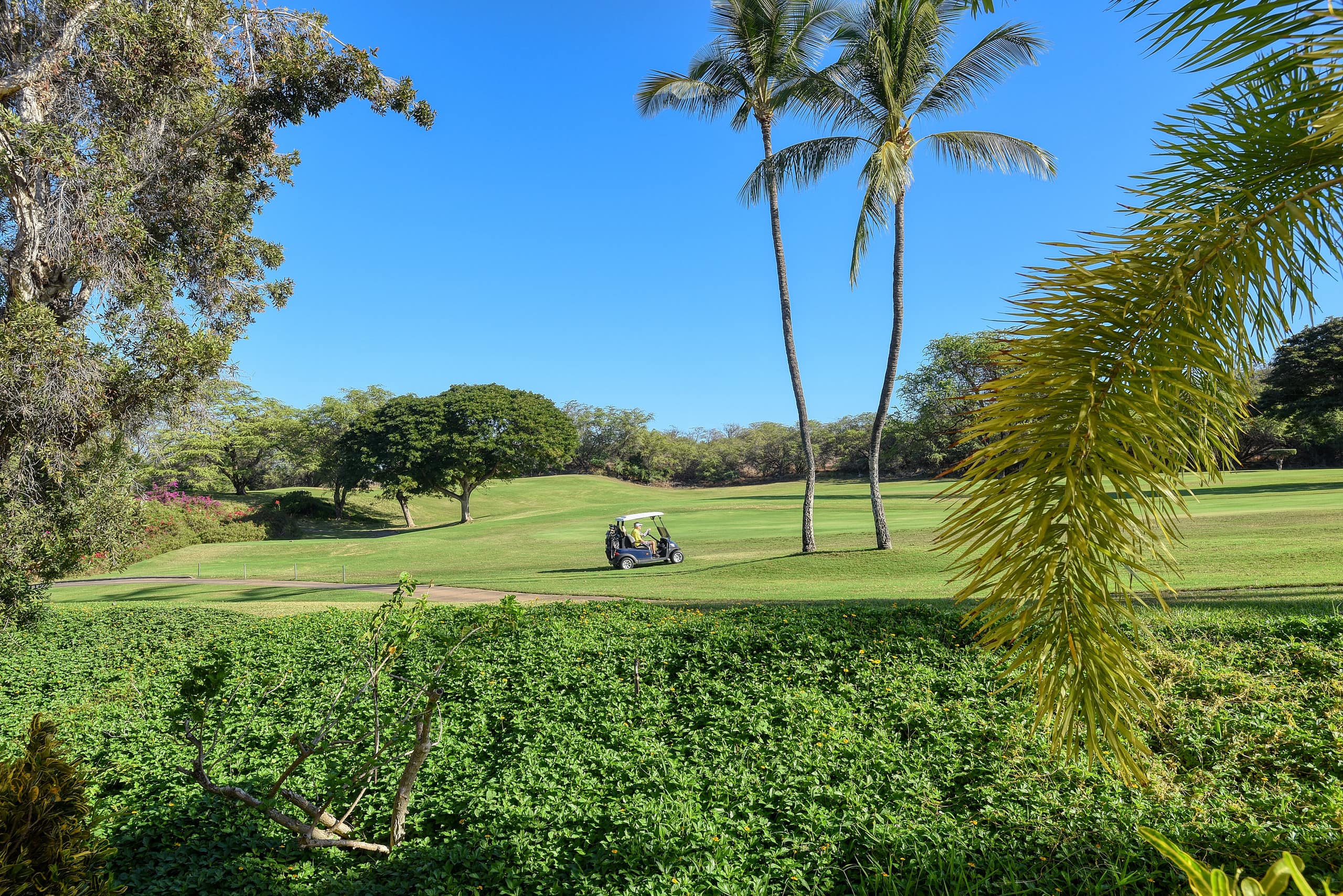 Condo in Wailea · ★4.96 · 1 bedroom · 2 beds · 2 baths - Image 18