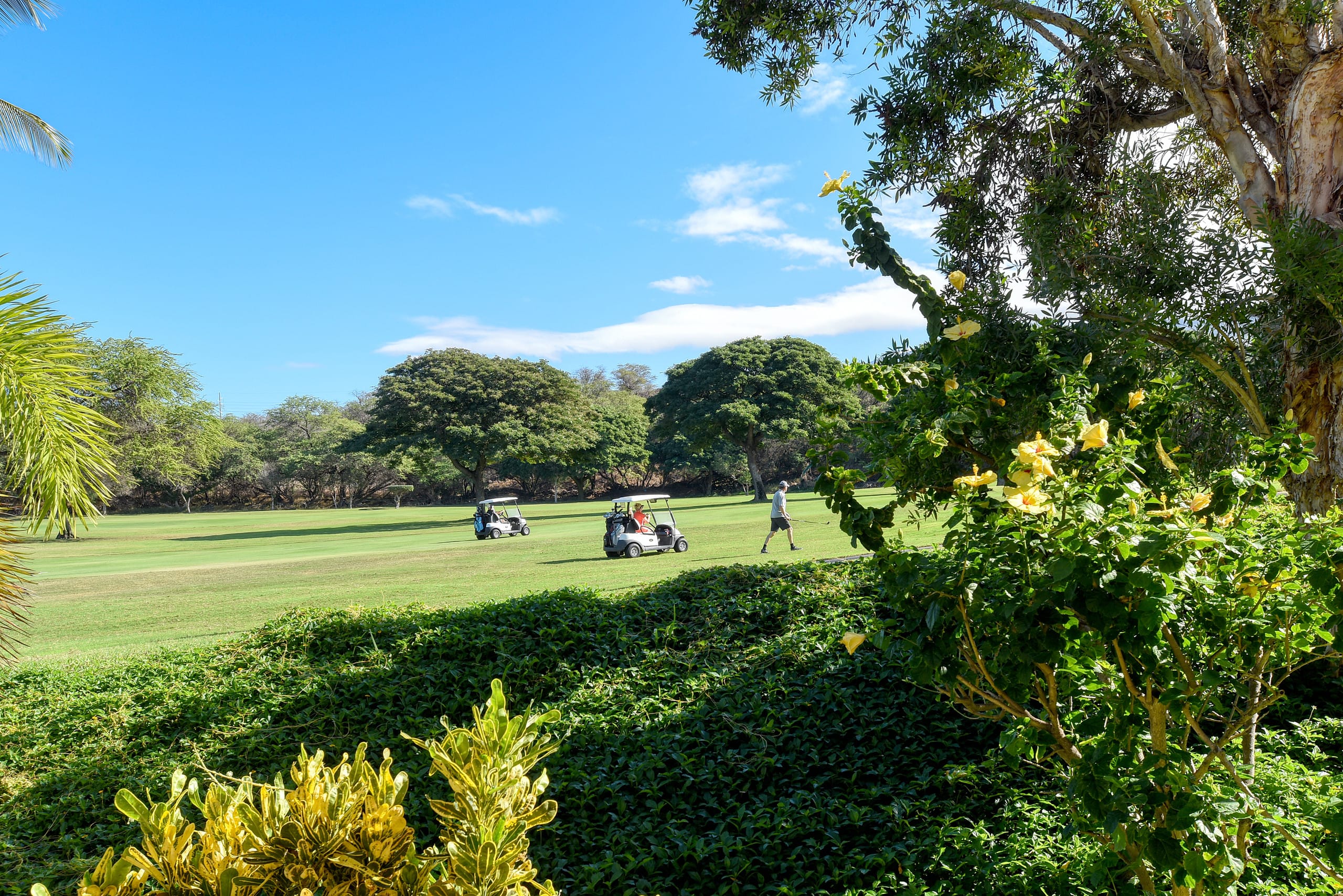 Condo in Wailea · ★4.96 · 1 bedroom · 2 beds · 2 baths - Image 17