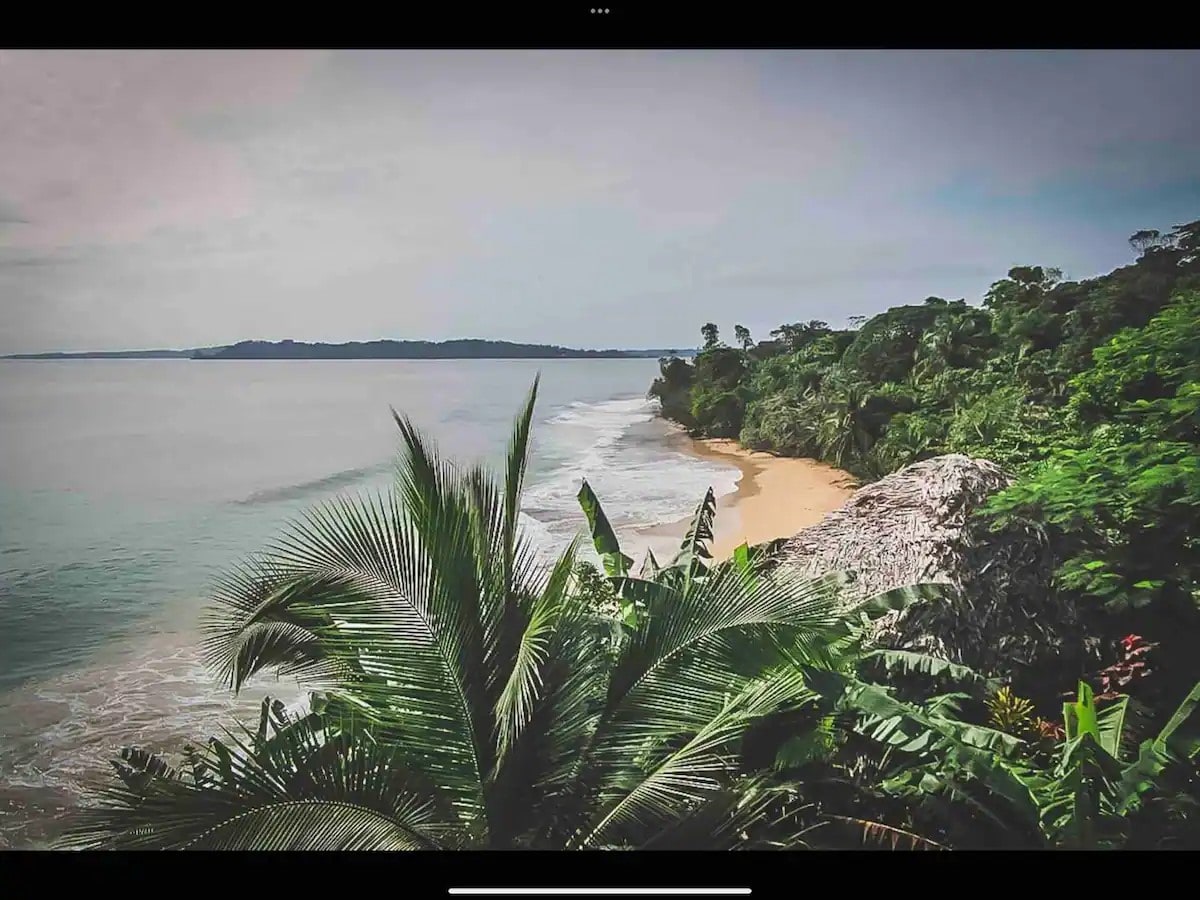 A scenic view captures a tranquil beach surrounded by lush greenery. Waves gently lap at the shore, while palm fronds frame the foreground, leading the eye toward the serene coastline and distant hills under a soft sky.
