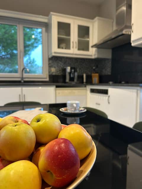 Grande maison chaleureuse et familiale à Bouliac