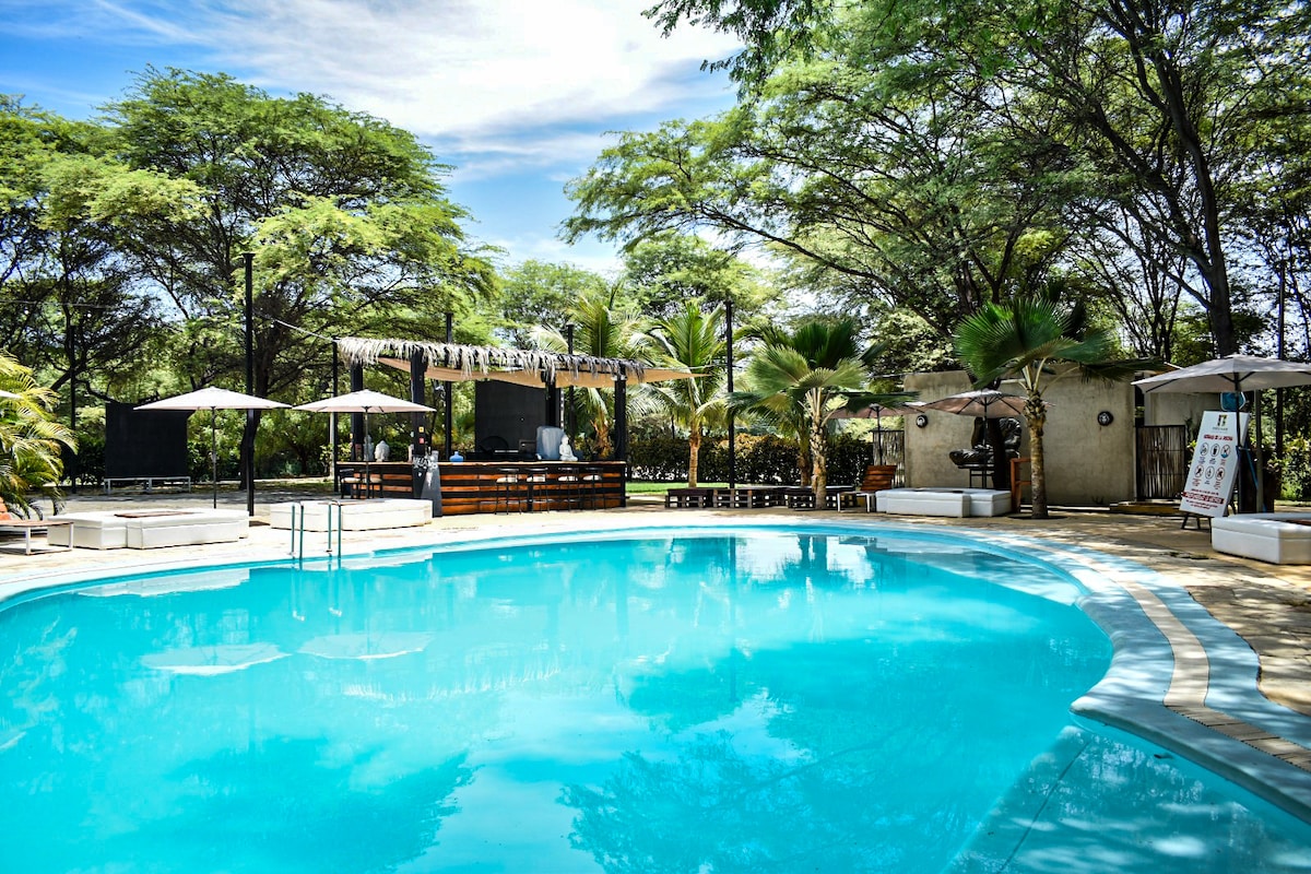 A serene outdoor pool area is surrounded by lush greenery, showcasing tall trees and palms. Sun loungers are arranged under umbrellas nearby, while a bar is positioned in the background, adding a relaxed ambiance to the space.