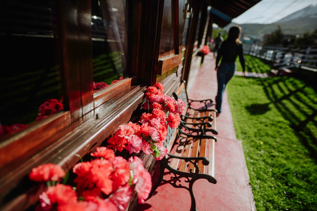 A row of benches adorned with vibrant flowers lines a shaded pathway. Sunlight illuminates the colorful blossoms against the warm wooden structure of the cabin. A person walks along the path, with a well-maintained lawn visible beside them.