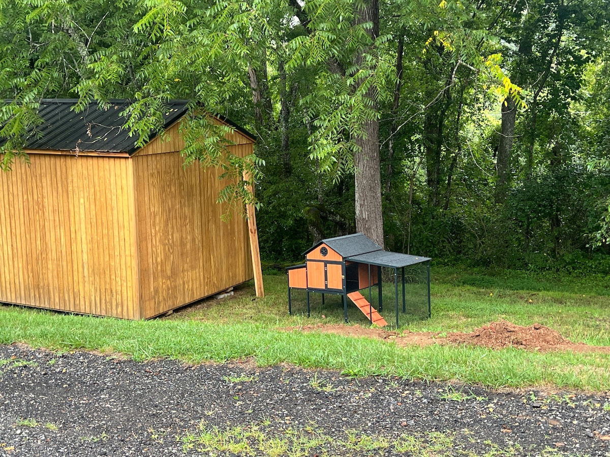 A wooden storage shed is situated alongside a small chicken coop, designed with a black frame and orange accents. The coop features a sloped roof and a ramp leading to its entrance, nestled among trees and grassy areas in the background.