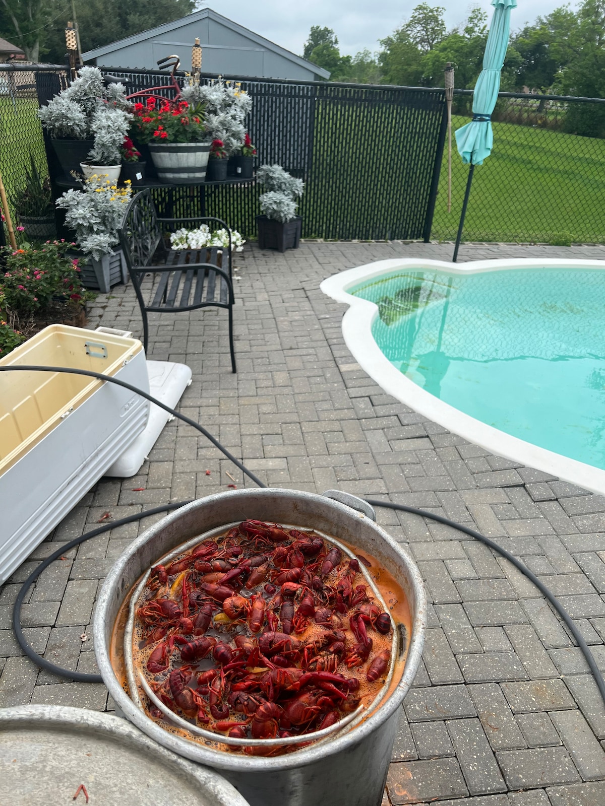 A large pot filled with freshly cooked crawfish is positioned beside a swimming pool. Paved bricks create a functional outdoor area, while a colorful arrangement of potted plants and flowers enhances the backdrop. A sun umbrella stands nearby, adding to the outdoor ambiance.