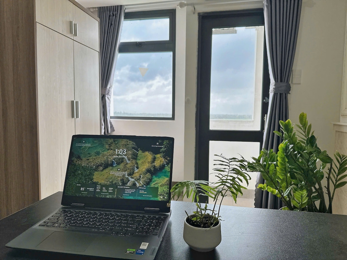 A laptop is prominently displayed on a dark table, with a small potted fern nearby. Large windows are partially obscured by grey curtains, allowing natural light to fill the room. A minimalist wooden cabinet is visible in the background.
