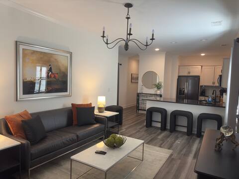 Downtown Condo