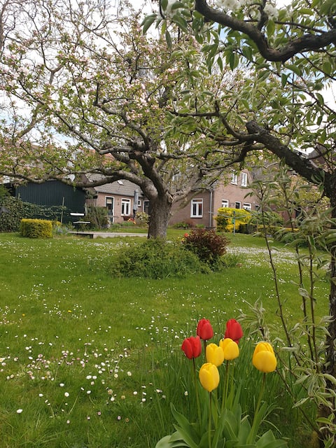 Spacious family home with garden