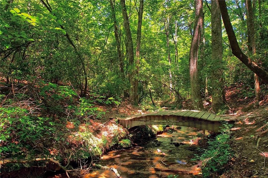 A wooden footbridge arches over a clear, shallow creek, surrounded by lush greenery. Tall trees with rich foliage rise nearby, providing a serene backdrop within a tranquil forest setting. Sunlight filters through the leaves, casting soft shadows on the forest floor.