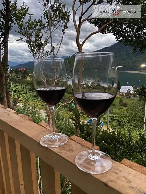 Two wine glasses filled with red wine are placed on a wooden railing. A panoramic view of green hills and a tranquil body of water can be seen in the background, under a cloudy sky.
