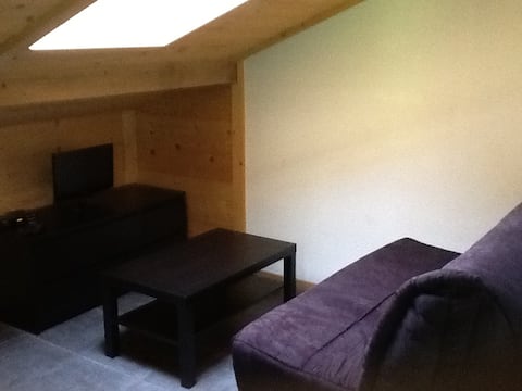 Popular Airbnb listing: Appartement le Choucas in Les Gets