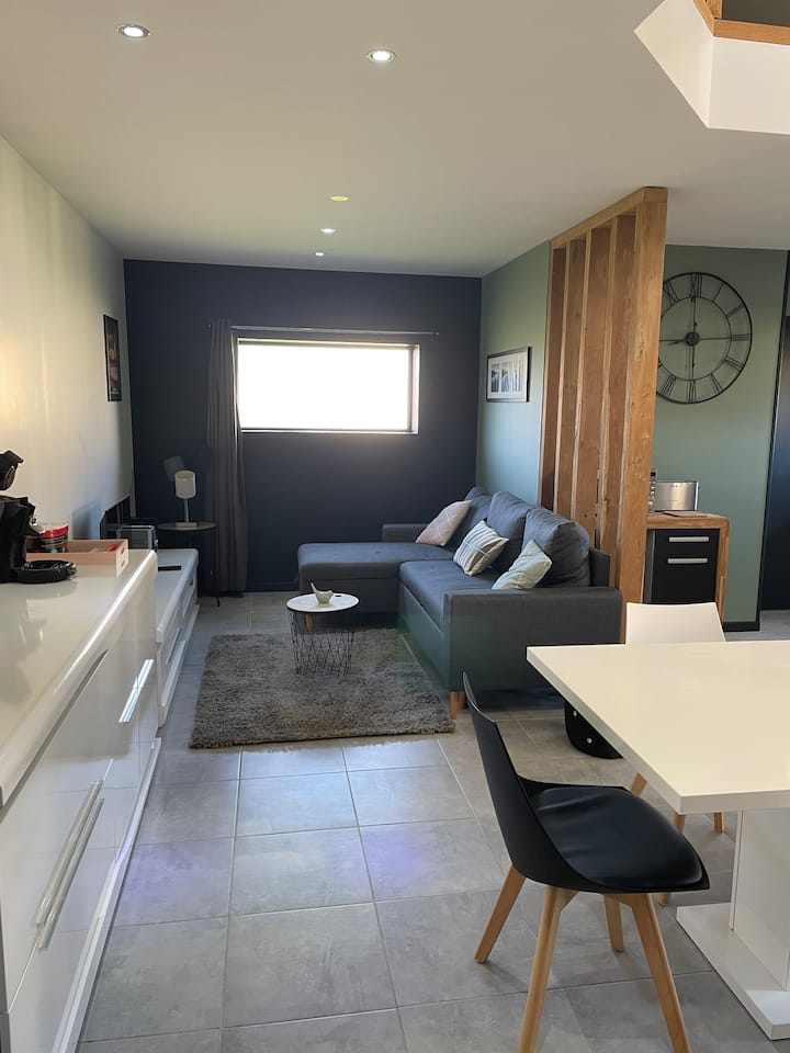 Maison Loft - Romorantin-Lanthenay