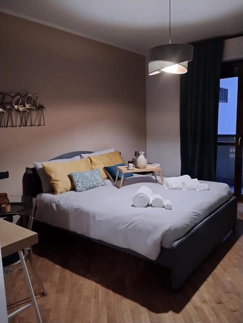 Top performing Airbnb: Mille 4. Two-room apartment in the center, private garage in Novara