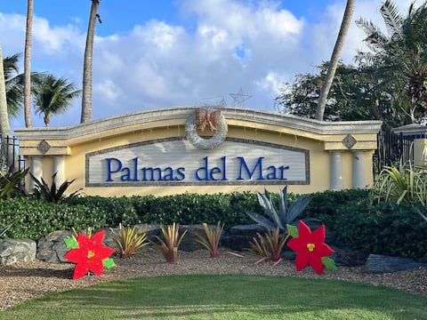 Caribbean Beach Front/Pool, Palmas Del Mar, BV82