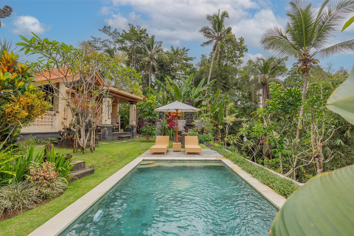 A serene plunge pool is surrounded by lush tropical greenery, with two sun loungers positioned alongside. A parasol provides shade over the seating area, while vibrant flowers add color to the garden space. The guesthouse is situated in a natural, welcoming environment.