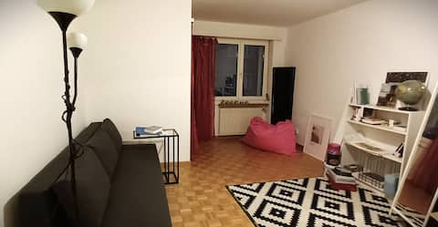 Top Airbnb: Central 1-room apartment in Oerlikon