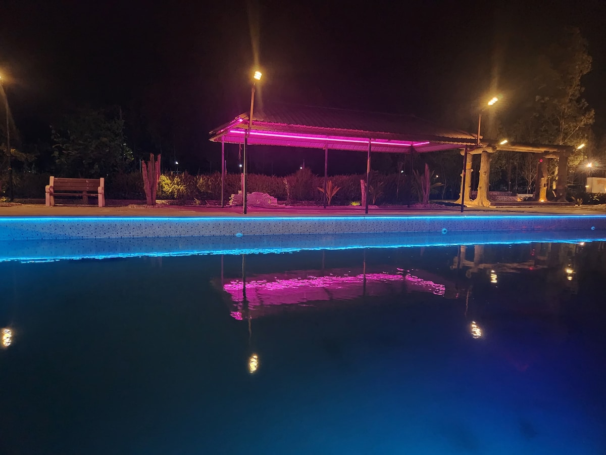 A serene swimming pool is illuminated by vibrant blue and pink lights, reflecting softly on the water's surface. A shaded seating area is visible in the background, surrounded by lush greenery and ambient lighting, creating a peaceful nighttime atmosphere.